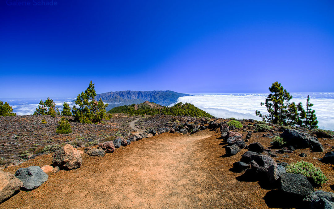 La Palma